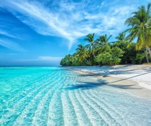 Maldives-Islands-Ocean-Tropical-Beach-940x585-c-default