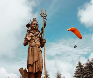 pexels-ankiyay-2528414