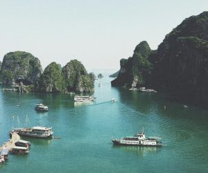 pexels-foodoncam-58597