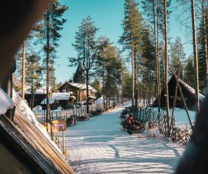 pexels-mtk402-2004391