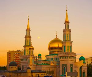 pexels-pixabay-161276