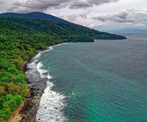 pexels-tomfisk-1518723